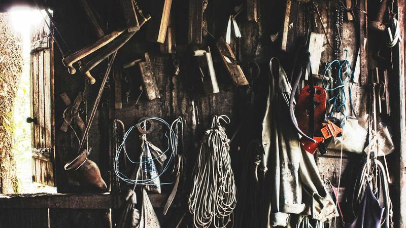 Rewiring Limiting Beliefs for Wealth: Your Road to Freedom